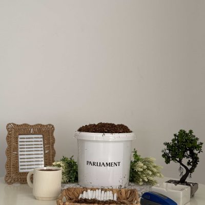 Tutun Firicel la Galeata Parliament Original